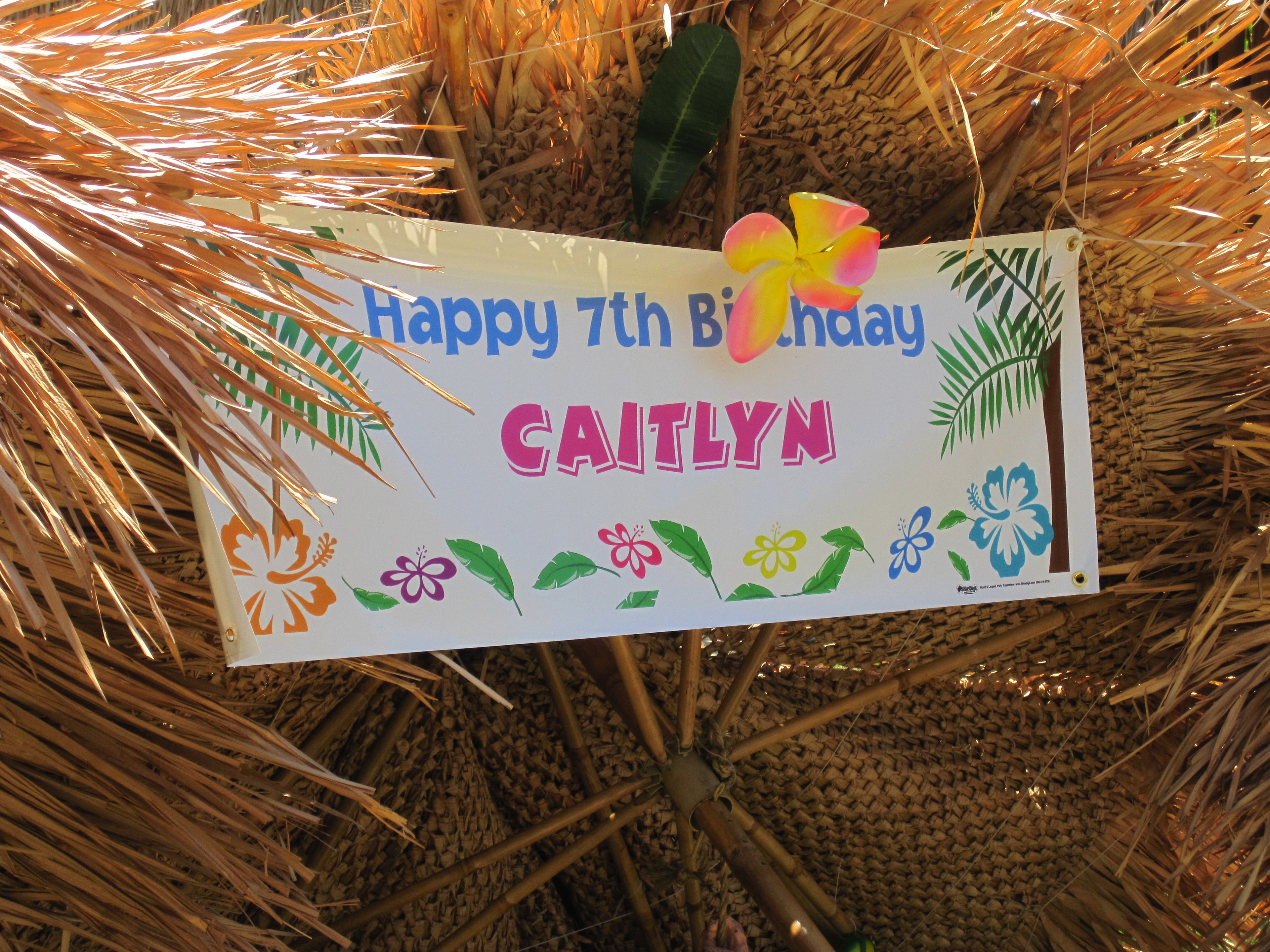 Manea Events birthday banner tiki hut backyard luau decoration